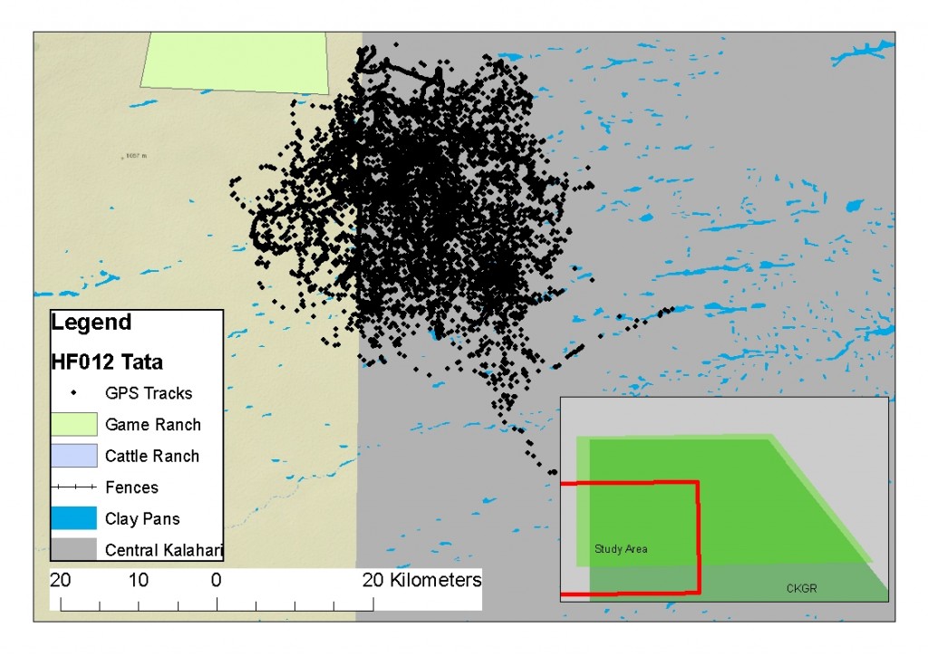 Map of the GPS points for lioness HF012