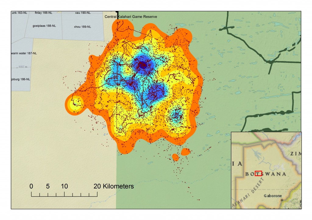 This type of home range, or utilisation distribution is formed with a kernel density estimate, which uses statistics to estimate the most important areas of an animals home range.
